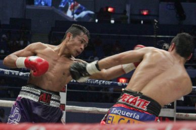 Donnie Nietes lands brutal combo after combo. PINOY PRIDE 30 D-Day was held at the SMART Araneta Coliseum last March 28, 2015. Photo by Jude Bautista