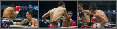 from left: Parra lands body shot, Nietes returns w right cross and Parra tries to run away from barrage of heavy punches. PINOY PRIDE 30 D-Day was held at the SMART Araneta Coliseum last March 28, 2015. Photo by Jude Bautista